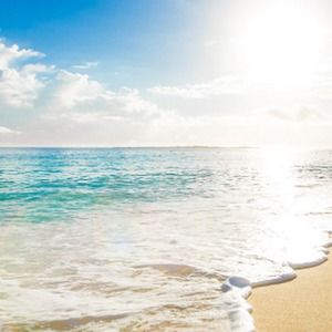 Meet your Posher, Faith